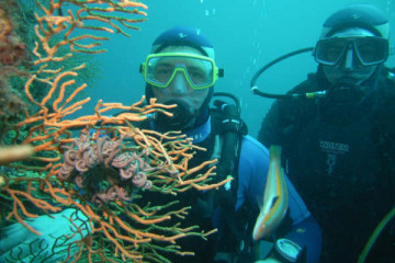 First dive - Port Fréjus