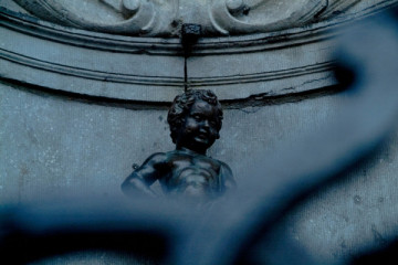 Guided tour : Celebrity Brussels