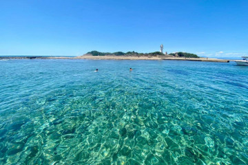 TOUR SEA LICOSA ( Full-day  + Cilento Aperitif )