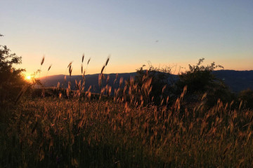 Etna Sunset Experience