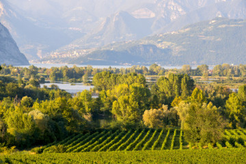 TOUR SPARKLING FRANCIACORTA in Mercedes Limousine or van