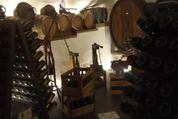 Wine and Food Tasting