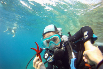 First Scuba Diving - Fréjus