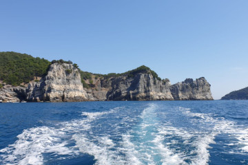 Half day tour ( 5 hours )