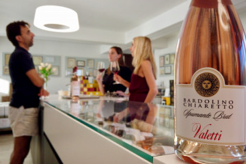 RELAXING SIGHTSEEING TASTING IN THE PANORAMIC LOUNGE
