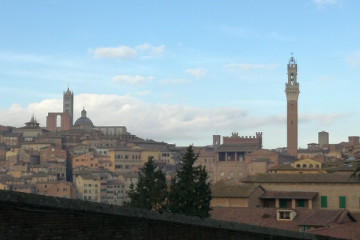 panorama