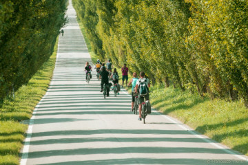 Cycling experience to discover the flavours and history of the Veneto region