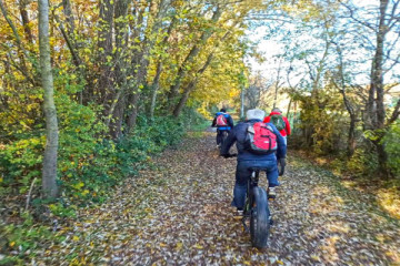 Airone Sant'Erasmo Island - E-bike tour
