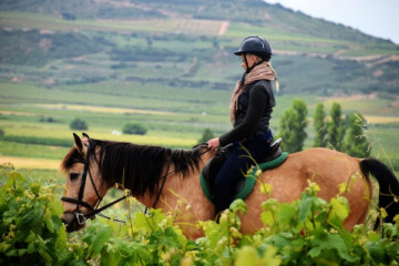 SELF GUIDED TOUR: HORSEBACK RIDING, WINERY VISIT & LUNCH
