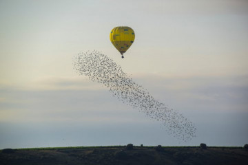 PRIVATE HOT AIR BALLOONING FOR 2 PEOPLE