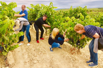 WINEMAKER FOR A DAY