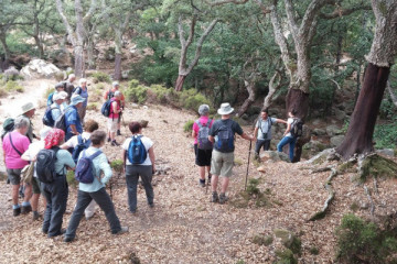 Sierra de Aracena natural park