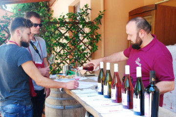 La Vinarte Wine Tour