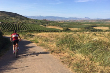 SELF GUIDED TOUR: BIKE RENTAL AND 2 WINERY VISITS (REGULAR AND/OR ELECTRIC BIKE)