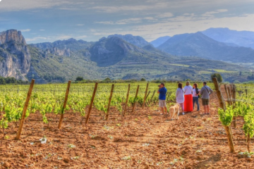 FULL DAY WINE TOUR "LIKE A NATIVE"