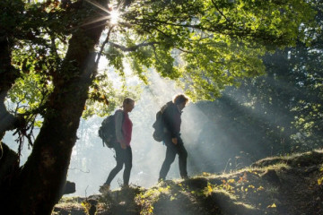 The ancient forest of Pescasseroli