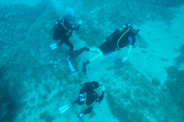 CHECK DIVE