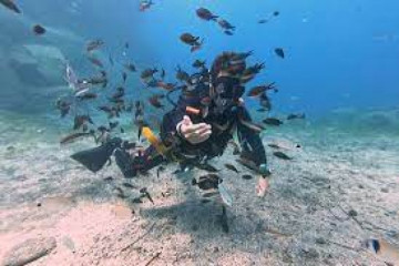 Open Water Diver