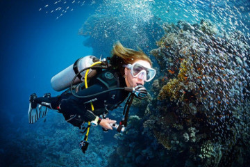 Basic Diver (2 Dives no prior experience needed).