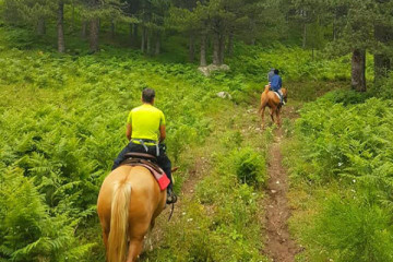Sila Horse Riding