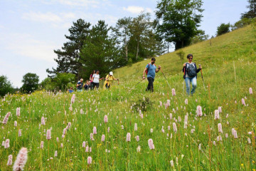 Trekking in Sila