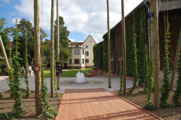 Visit and tasting at Villa METEOR in Hochfelden