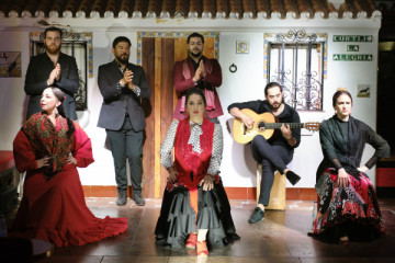 Live Flamenco Show