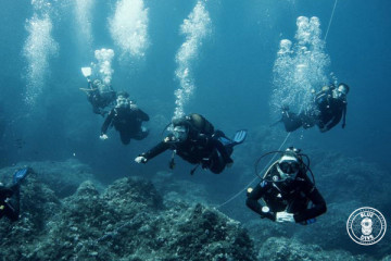 10 dives pack
