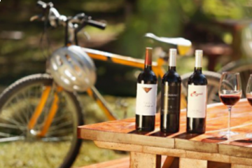 Bike and wine tour Test