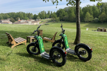 All Terrain Scooters