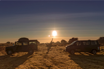 Doñana National Park guided tour