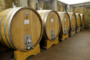 Experienced wine tour and tasting (5 wines)