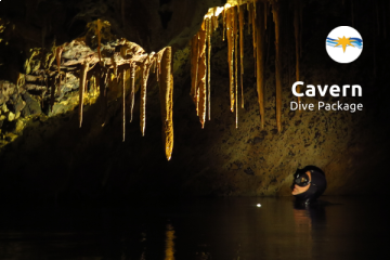 Explore the Cave Zone of Ustica with our expert and qualified dive guides. 