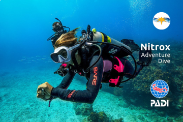 if you plan to do a multi-day dive trip do yourself a favour and get nitrox certified.