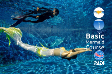 PADI Basic Mermaid Course