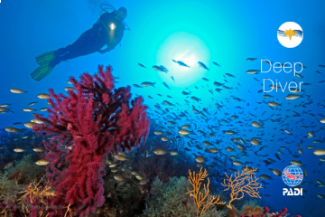 PADI Deep Diver Course