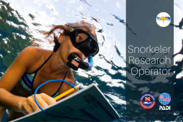 PADI/DAN Snorkeler Research Operator 