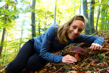 Mushrooms & Medicinal Herbs Foraging in Slovenia