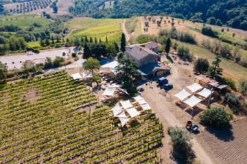 ECOWINEEXPERIENCE Trebotti Wines and Tuscia Cheeses