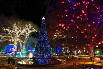 Christmas in Vienna