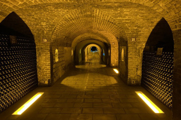 Chablis Tour in Burgundy