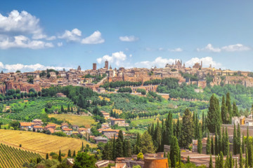 Siena - Rome: Montepulciano and Orvieto Transfer Tour