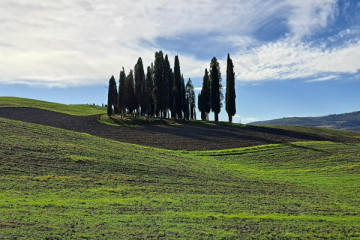 Val d'Orcia landscape