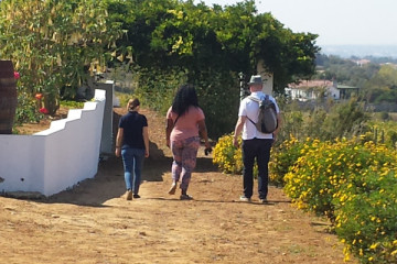 Sintra Thematic Wine Experience