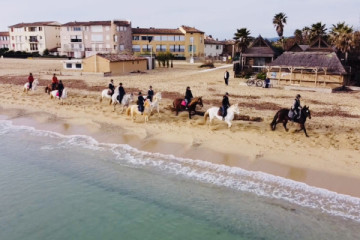 2-hour horseback ride in small groups