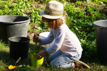 Children’s Activity : "Hands in the Soil"