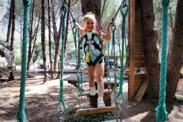 Tree climbing ticket