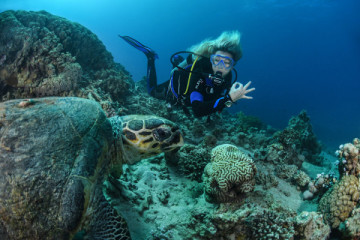 Basic Diver (2 Dives no prior experience needed).