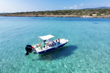 GYG - Asinara Half day excursion