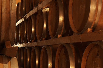 Vertical Wine Tasting